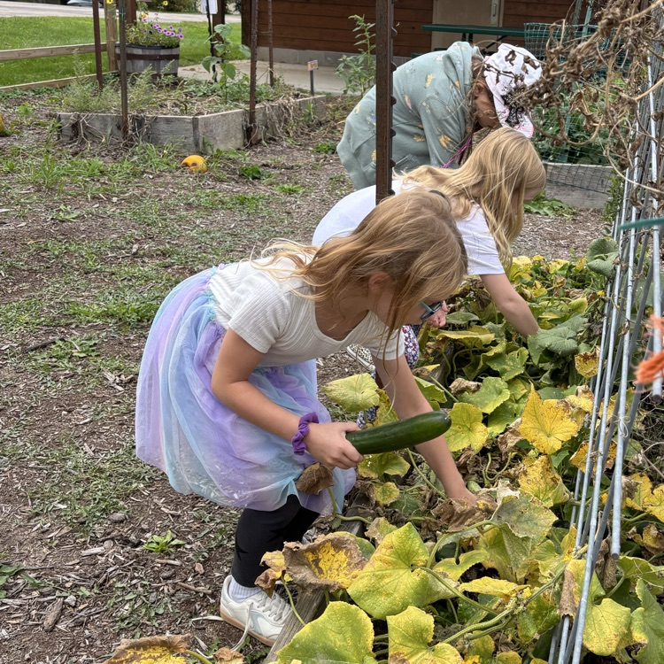 Harvest!