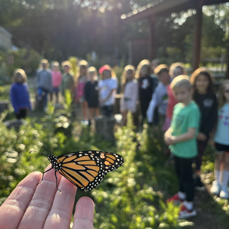 Monarch release!