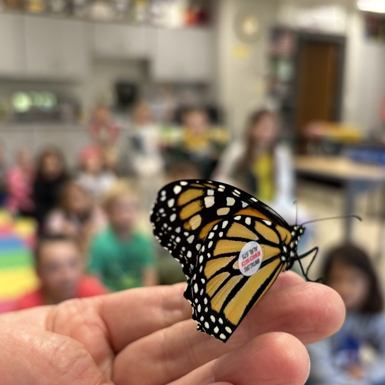 Tracking tags for #MonarchWatch.