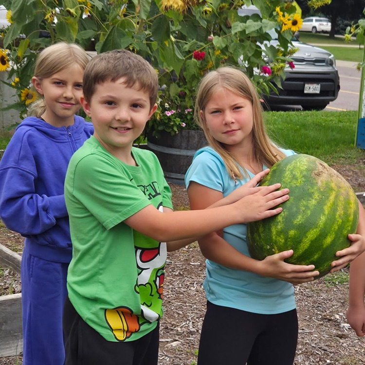 Amazing watermelon