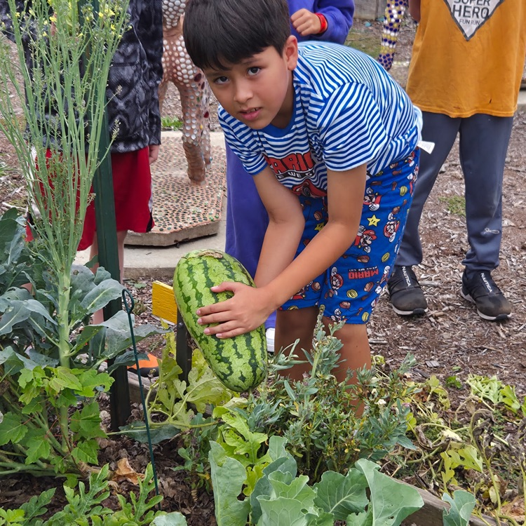 Several varieties grew from seeds!