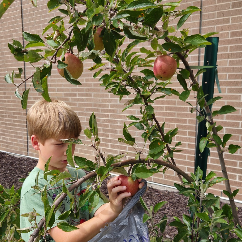 Apple Press