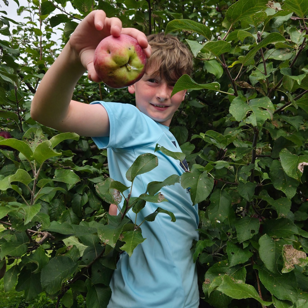 Apple Press