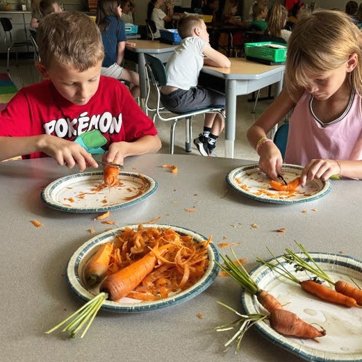 Learning Buddies and Stone Soup