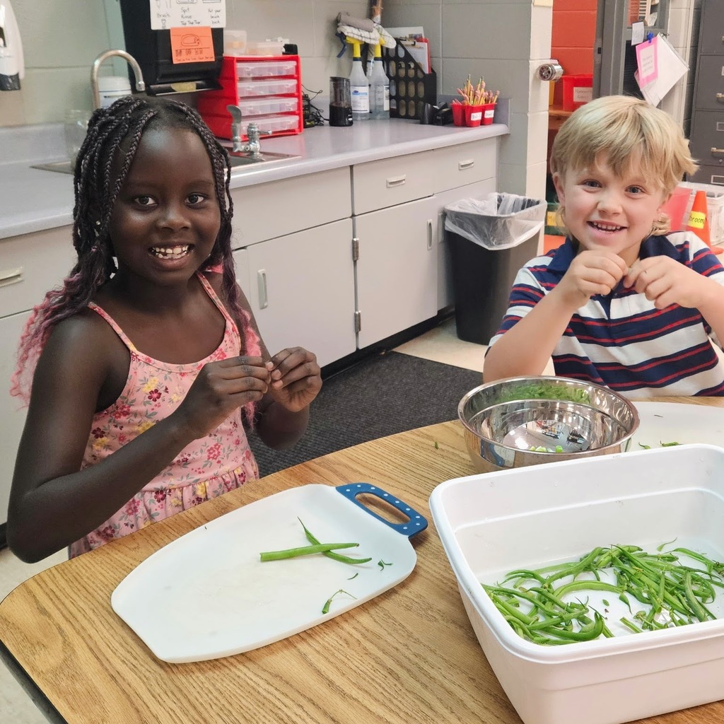 Learning Buddies and Stone Soup