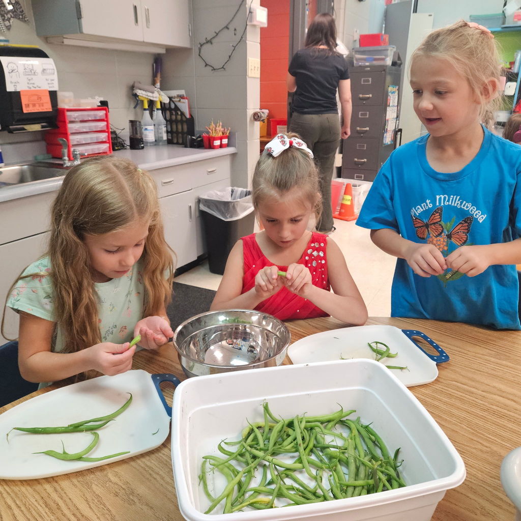 Learning Buddies and Stone Soup