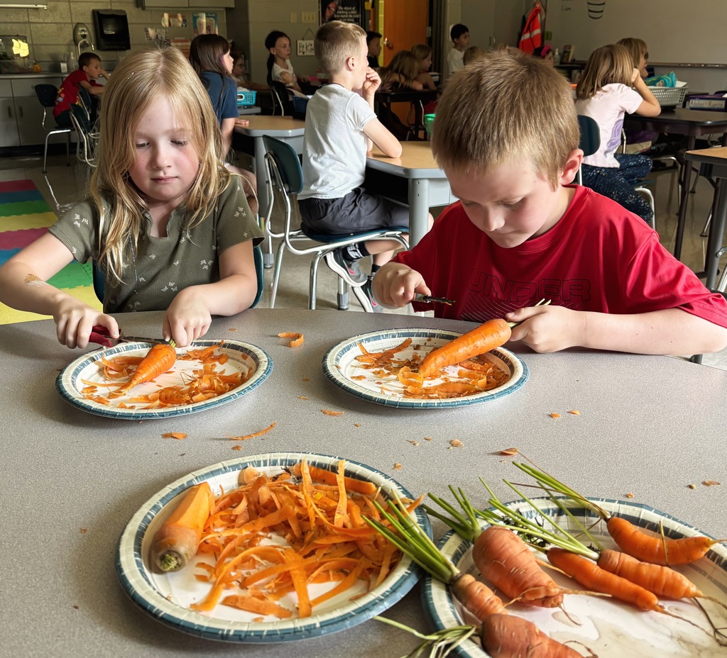 Learning Buddies and Stone Soup