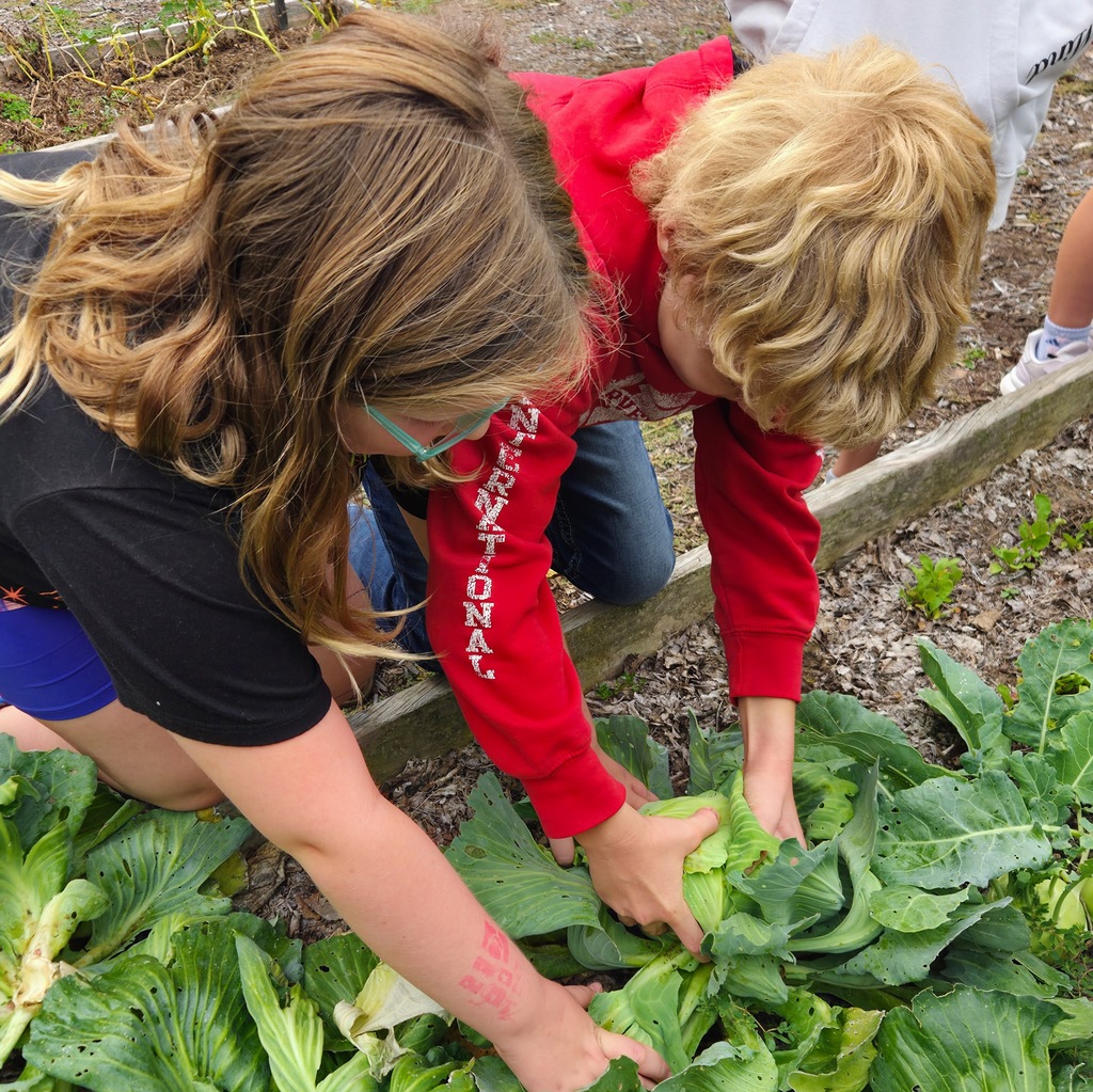 Learning Buddies and Stone Soup