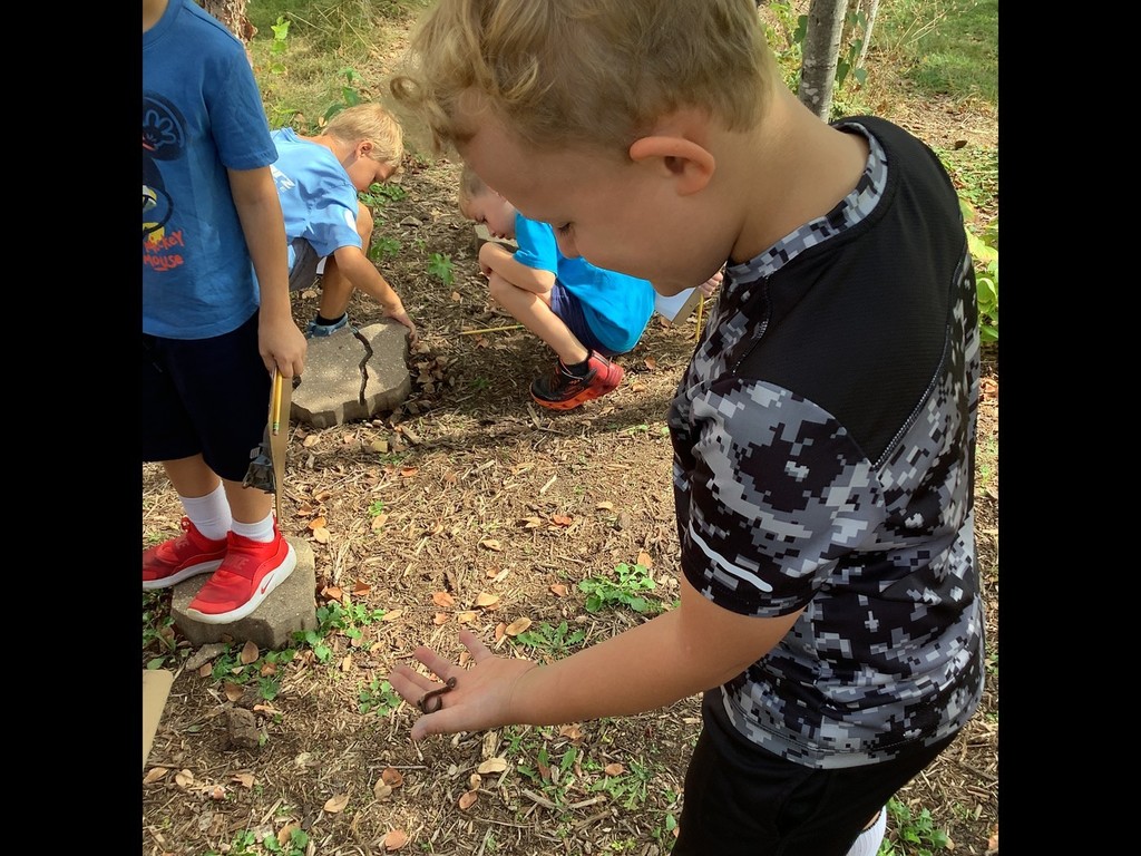 Outdoor Learning