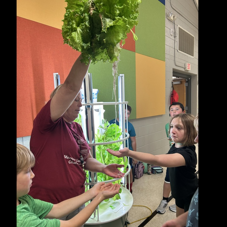 Strong roots!