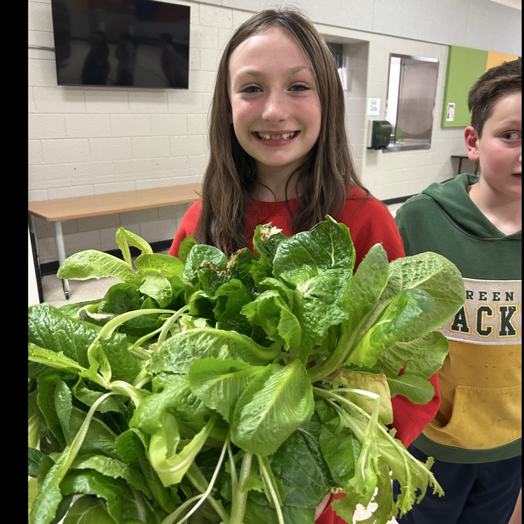 Harvest!