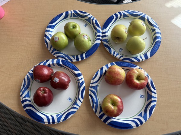 APPLE TASTING