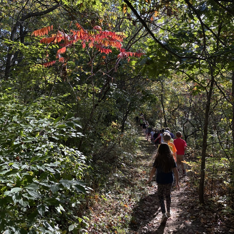 Perfect day for a hike.