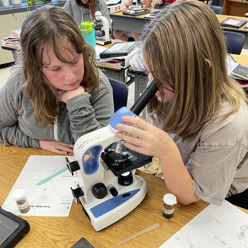 Grade 6 Science