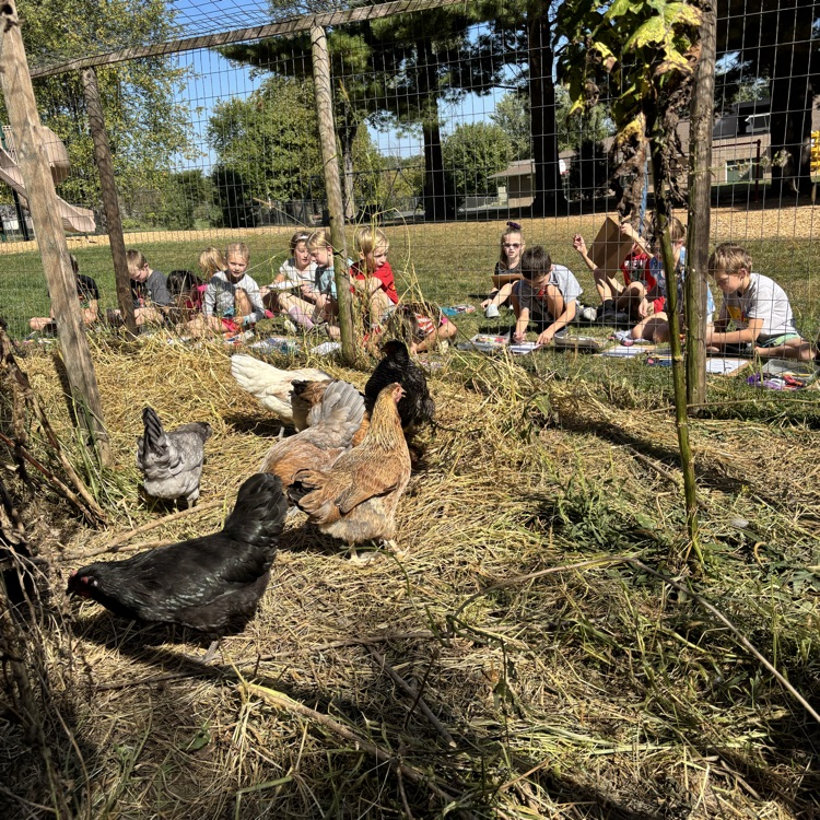 Chicken science!