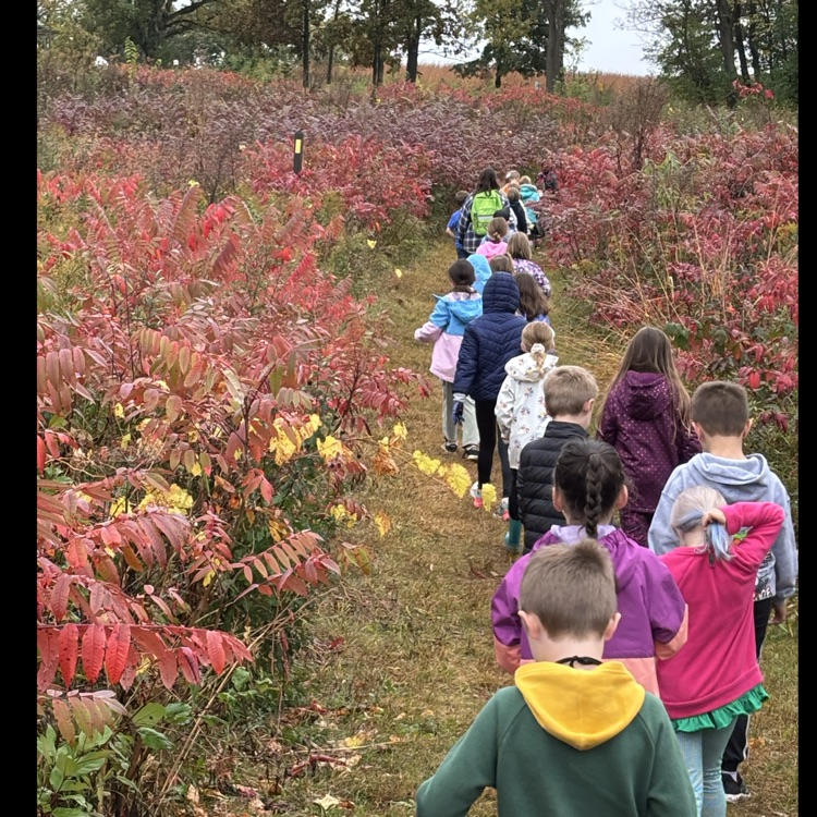 Beautiful colors today!