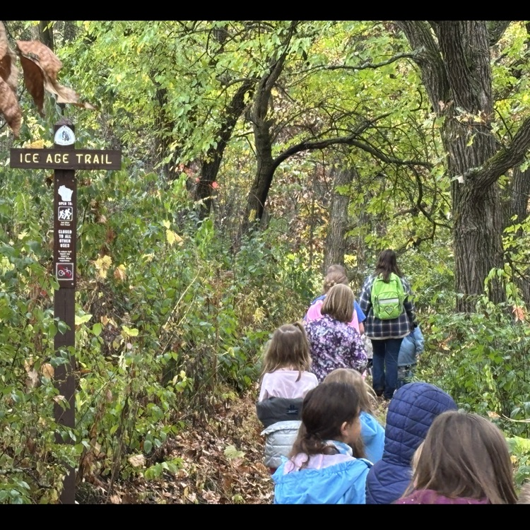 Into the woods.