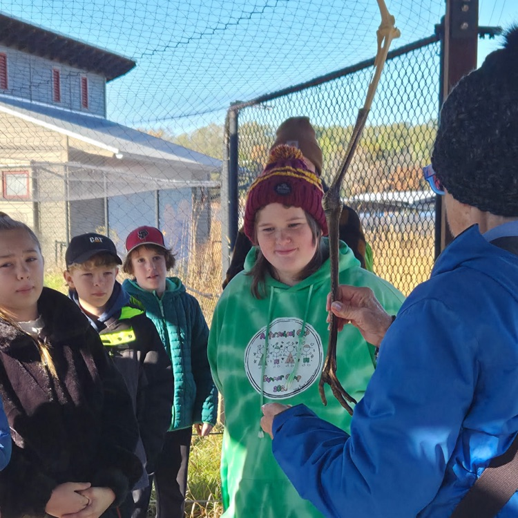 Crane leg adaptations