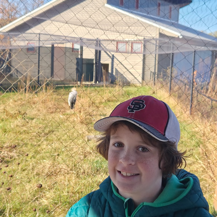 Getting a good look!