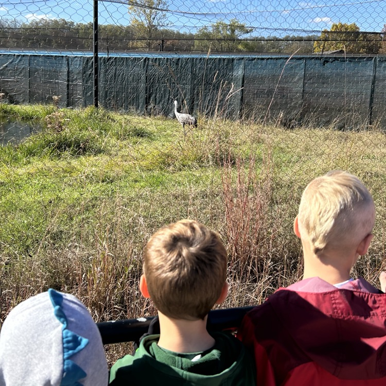 Getting a good look!