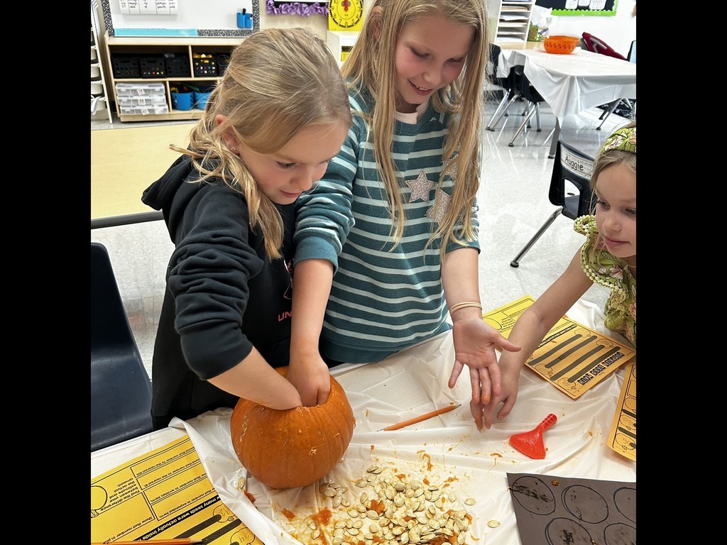 Pumpkin Investigation