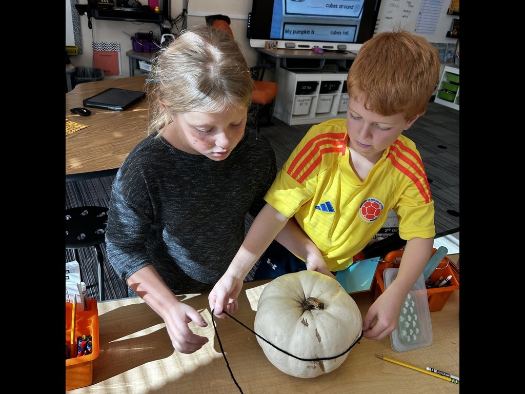 Pumpkin Investigation