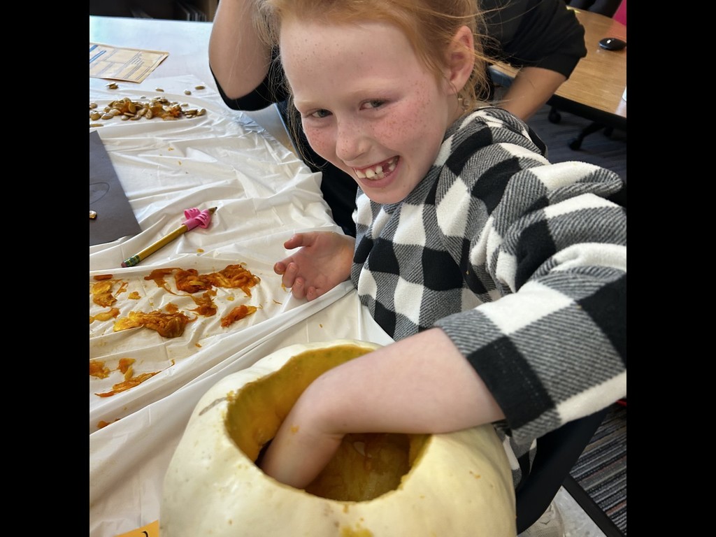 Pumpkin Investigation