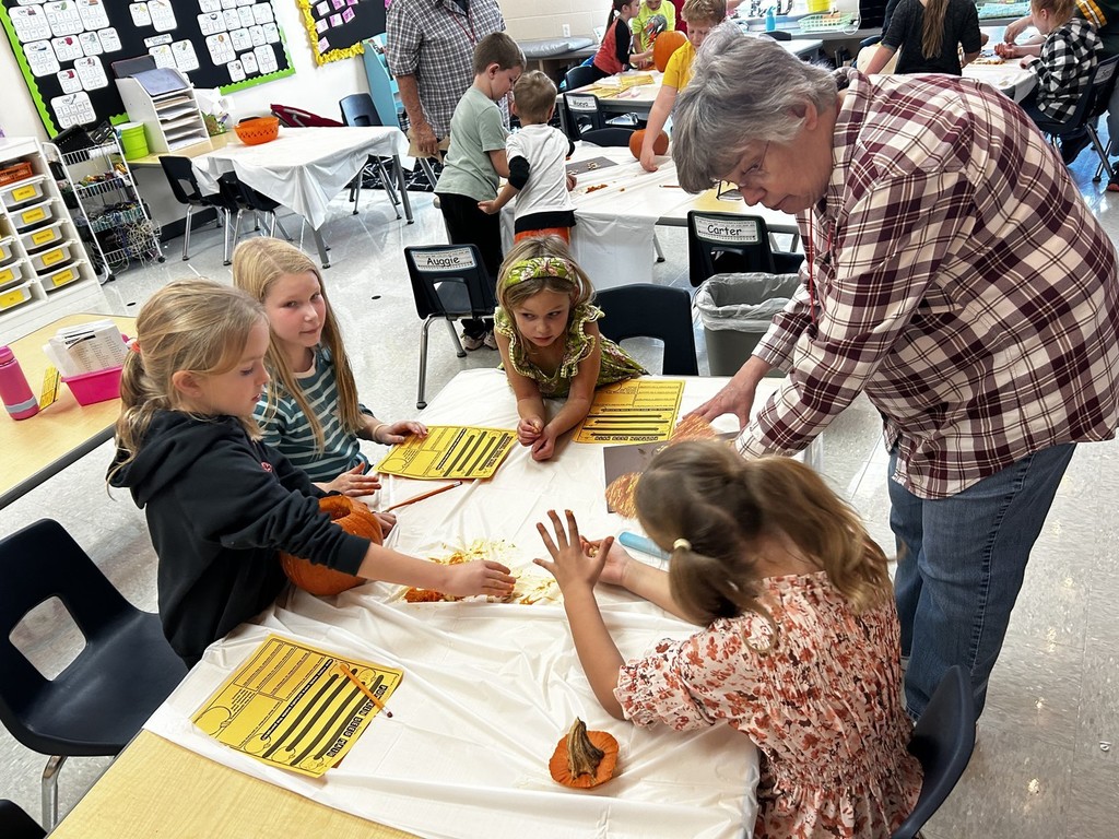 Pumpkin Investigation