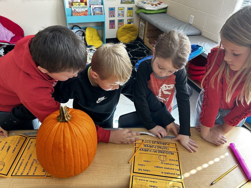 Pumpkin Investigation