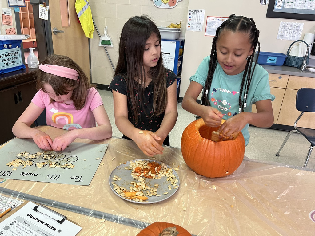 Pumpkin Investigation