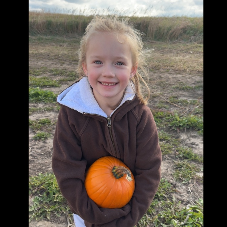 Picking pumpkins!