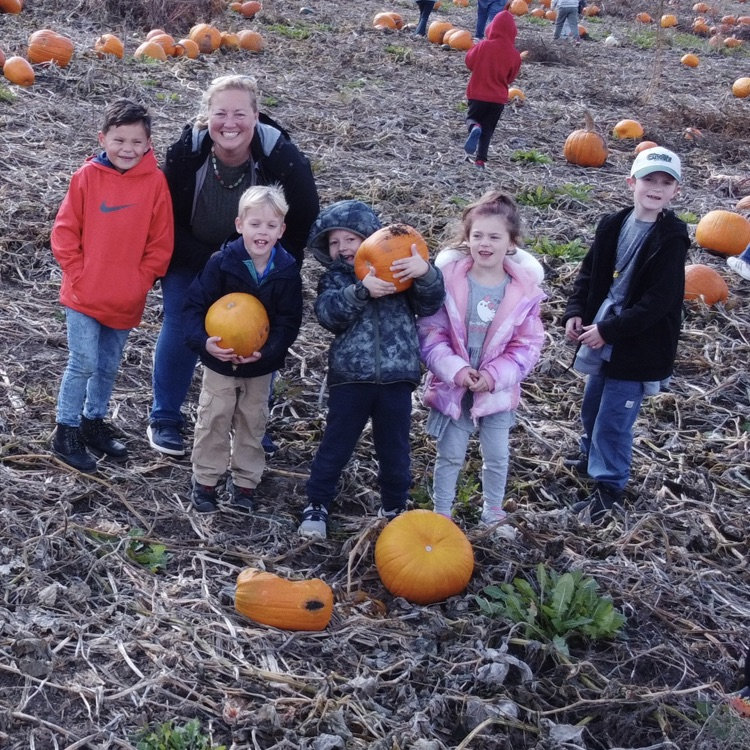 Looking for the perfect pumpkin!