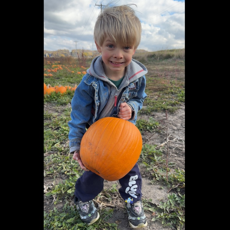 Carrying our pumpkins to the bus!
