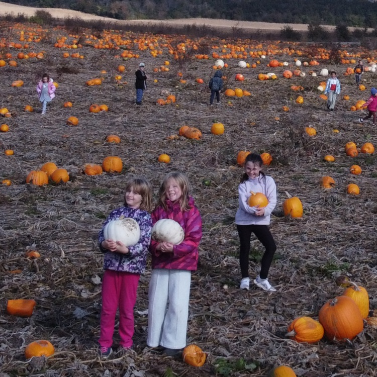 So many to choose from!