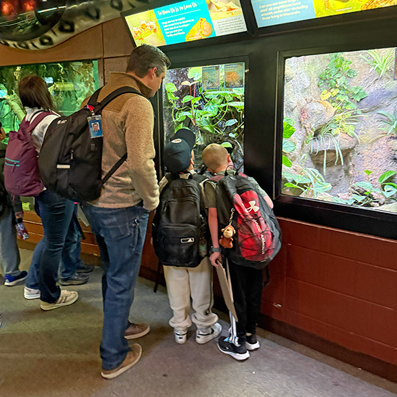 Tower Rock at the Zoo