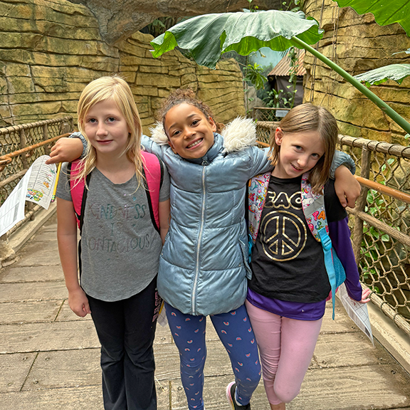 Tower Rock at the Zoo