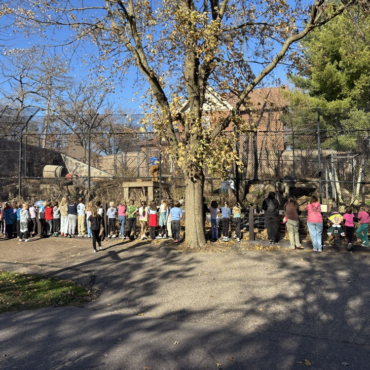 The bear came out to see us! 