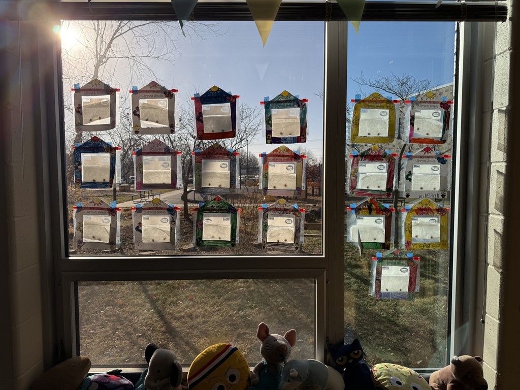 SPROUT HOUSES WITH LIMA BEANS