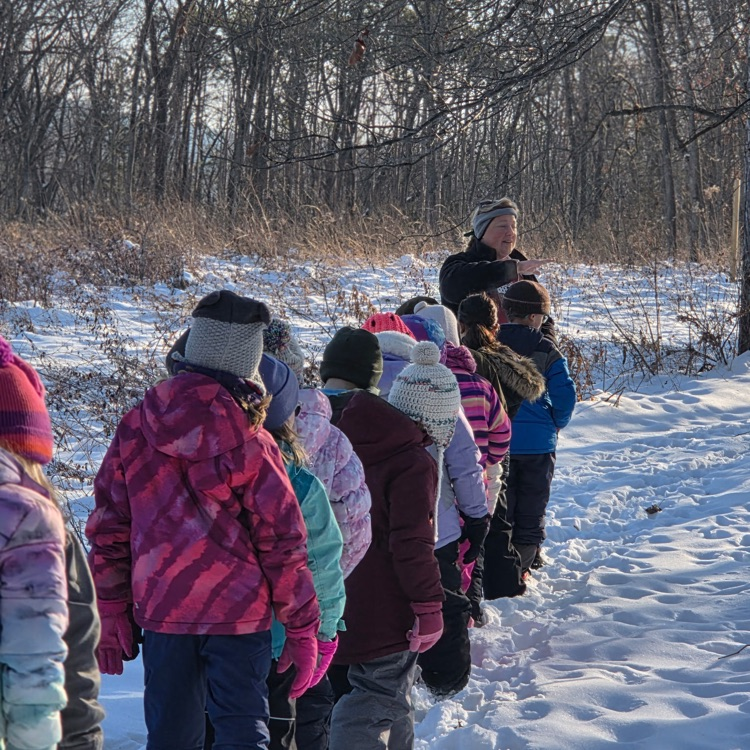 Making observations.