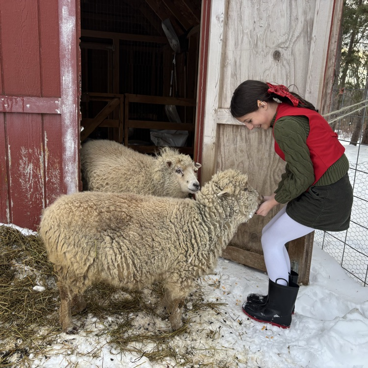 Extra corn for treats!
