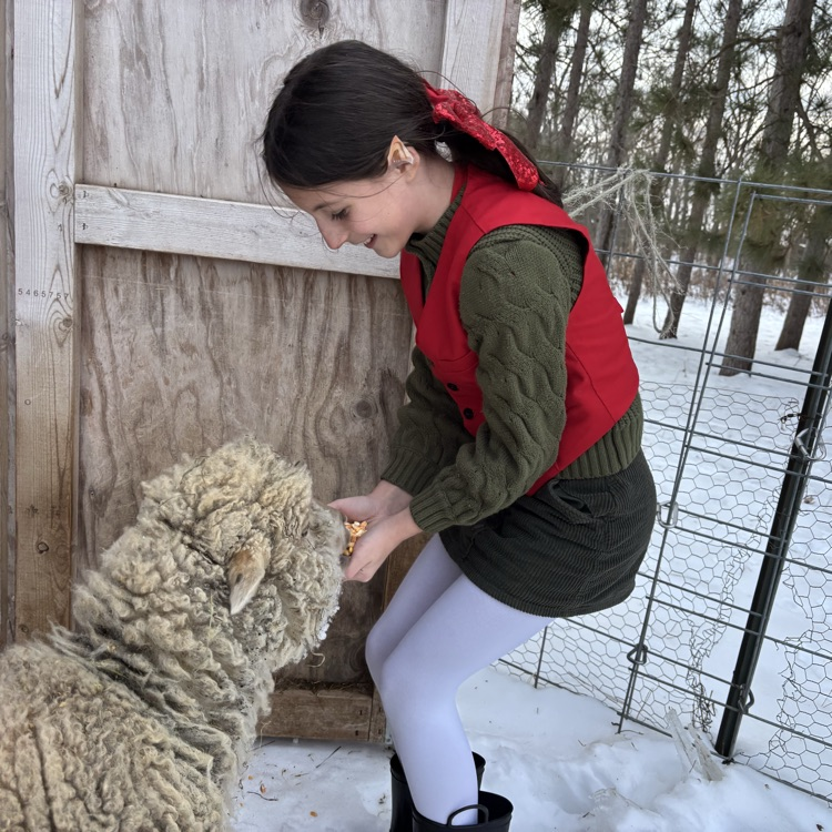 Happy holidays to ewe!