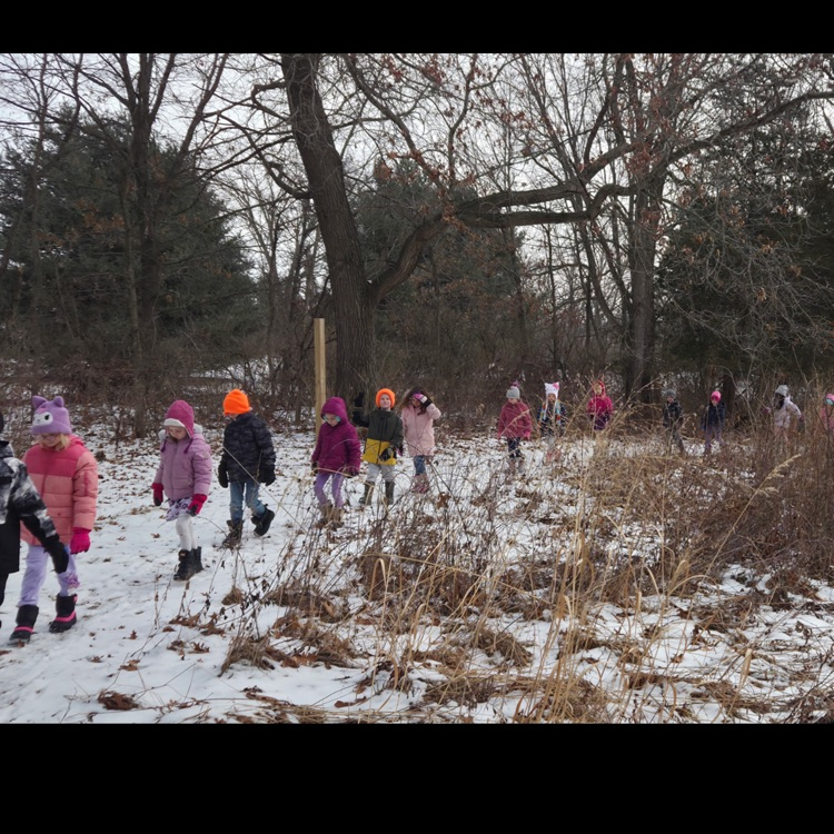 Lots of tracks to observe!