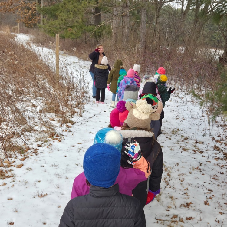 How many toes in the footprint? 