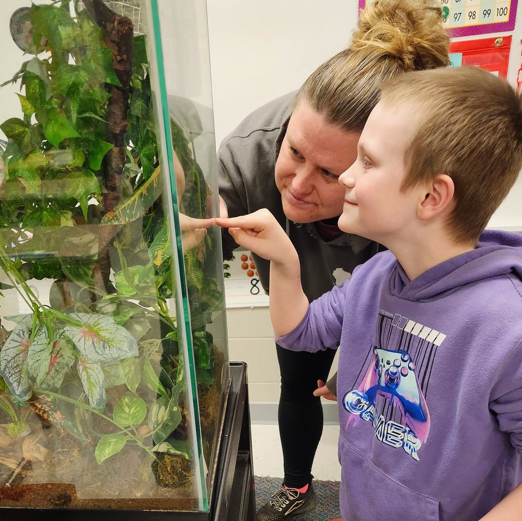 Student and Mom looking at a gecko