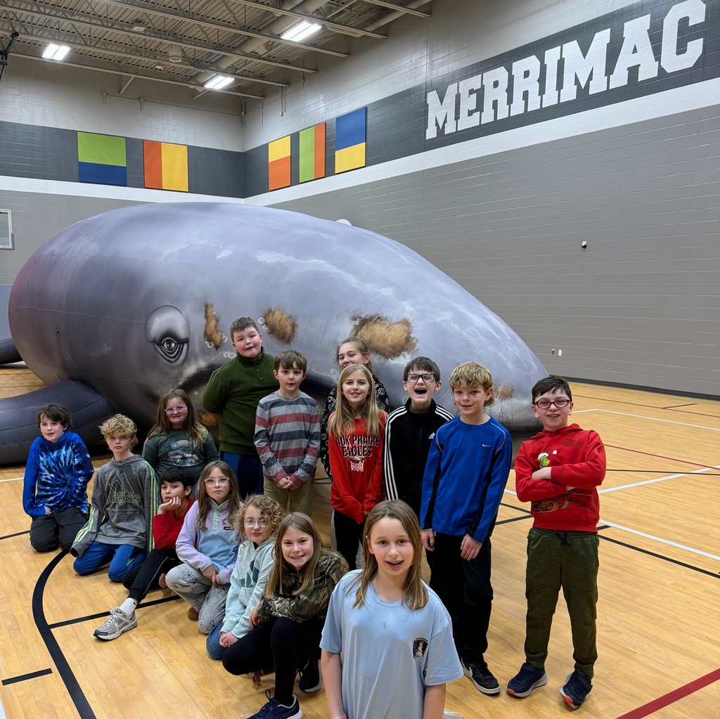 Whale and Students