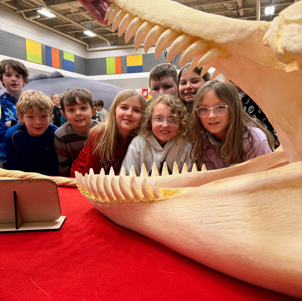 Whale fossil and students