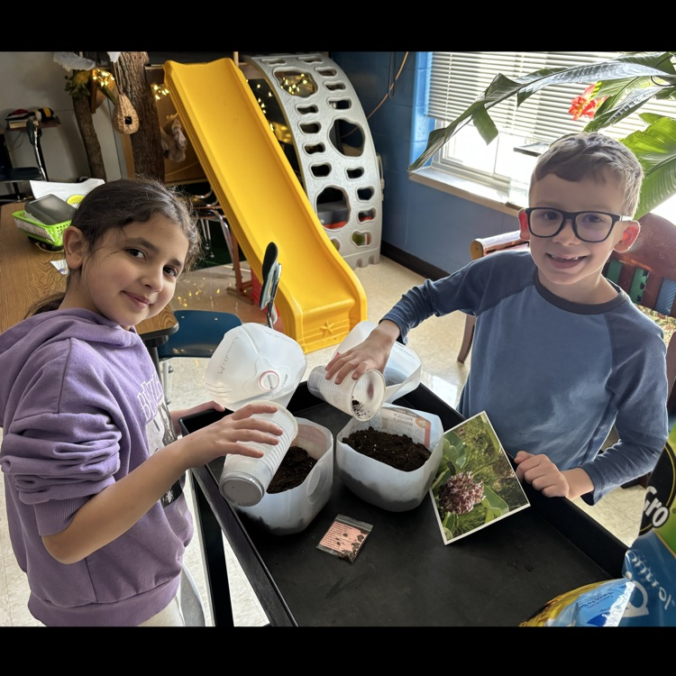 Planting our favorite… milkweed !