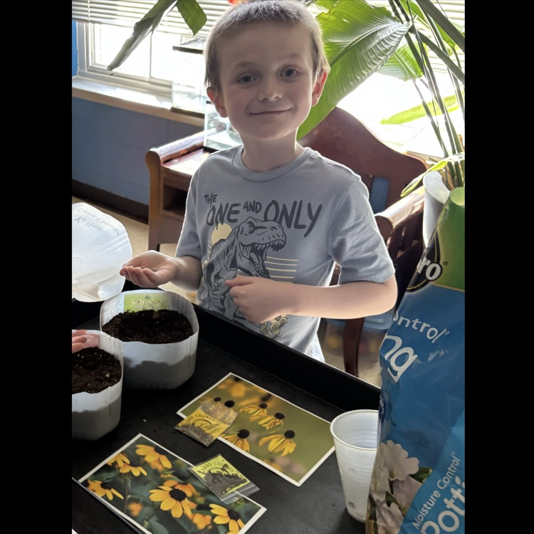 Lots of sunny yellow!