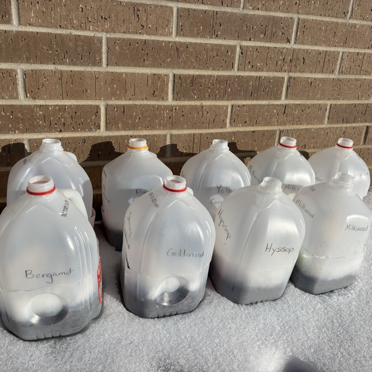 Winter stratification is essential for native prairie seeds.