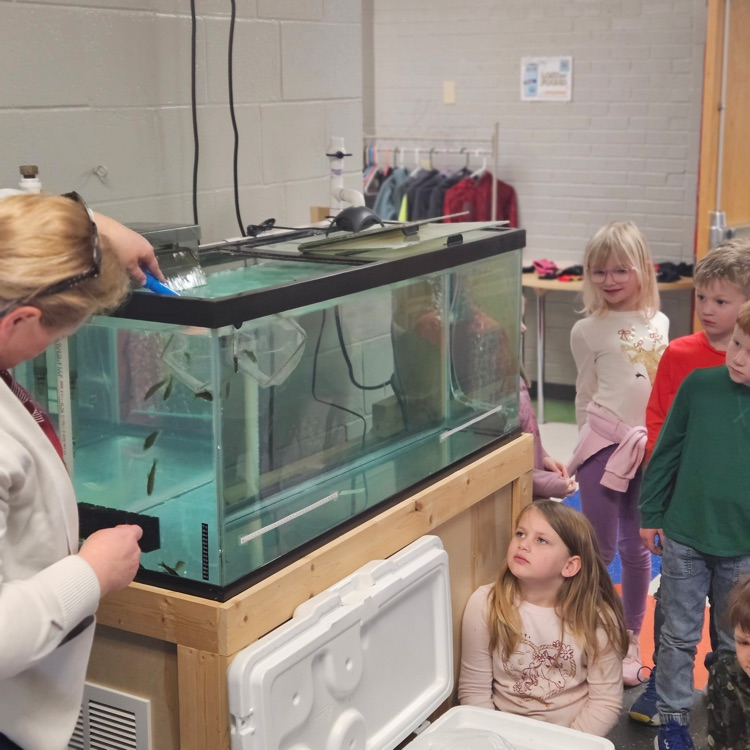 Counting as they go into the tank!